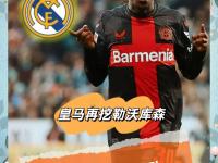 包含里程碑夜！勒沃库森迎来里程碑，意甲赛前刷纪录，球迷炸锅，球队文化再被提及的词条-爱游戏在线入口