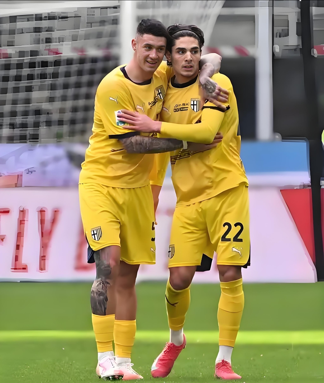 托特纳姆热刺官网 托特纳姆热刺官网